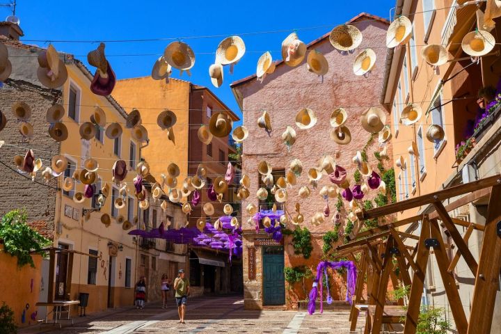 Floración de Lavanda