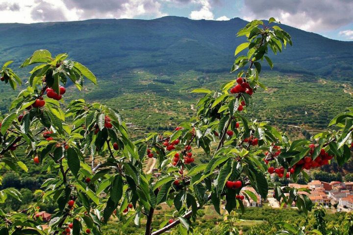 Extremadura