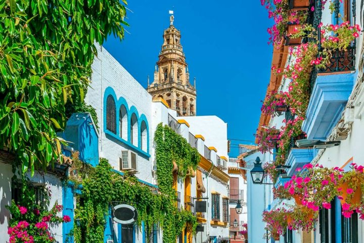 Patios de Cordoba