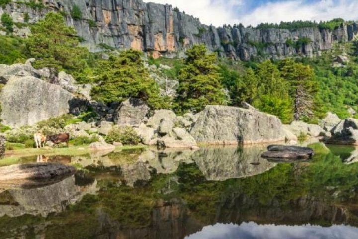 Soria - El Burgo de Osma - Laguna Negra - Medinaceli